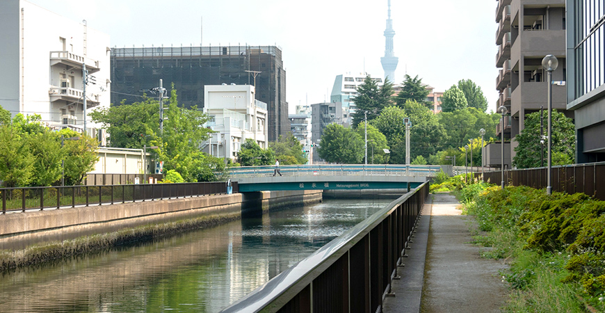 江東区にある川の写真